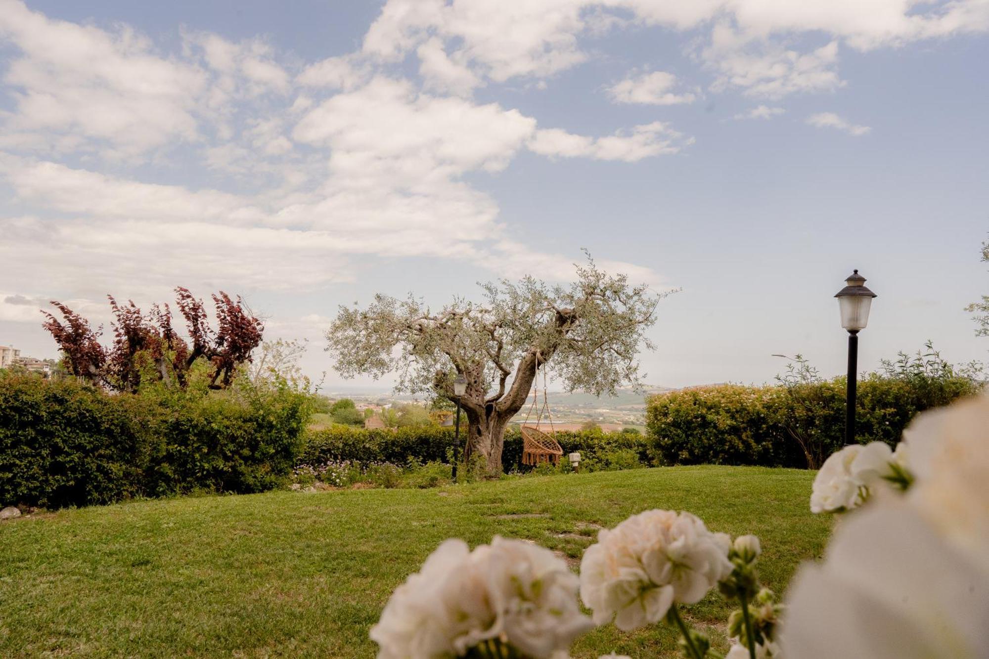 Ai Quattro Ulivi B&B Monte Urano ภายนอก รูปภาพ