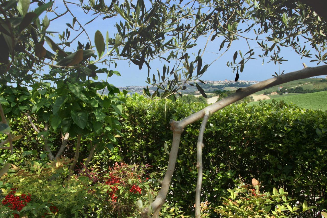 Ai Quattro Ulivi B&B Monte Urano ภายนอก รูปภาพ